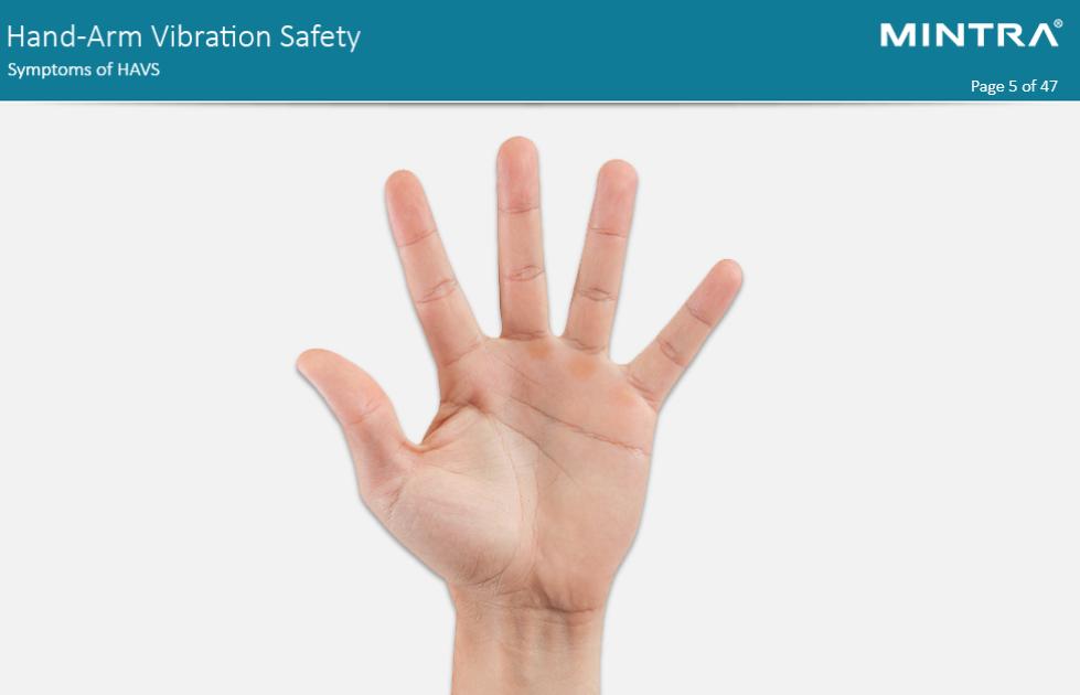 Hand-Arm Vibration Safety Training