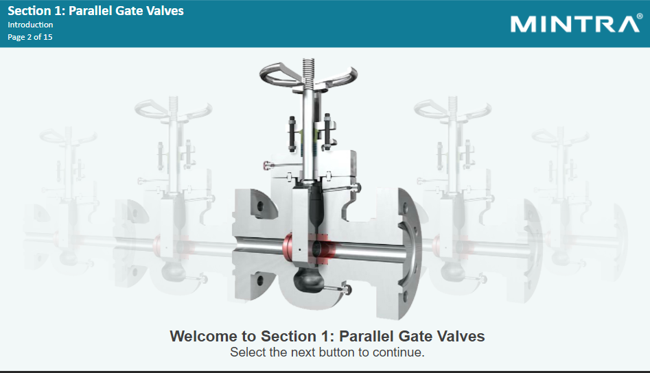 Introduction to Valves Training 2