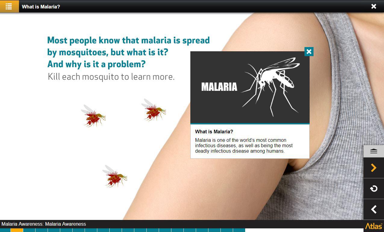Malaria Awareness Training 2