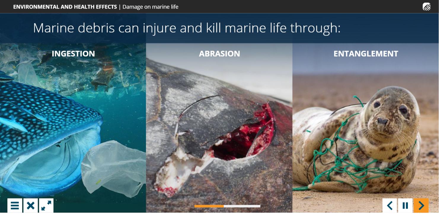 Marine trash and debris awareness (US) Training