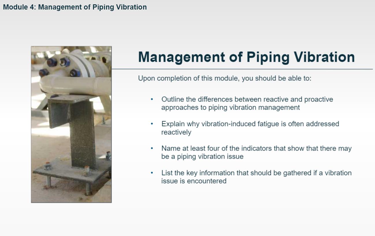 Piping Vibration Training