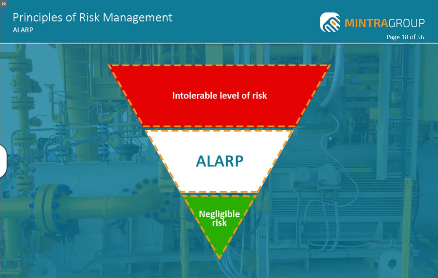 Principles of Risk Management Training